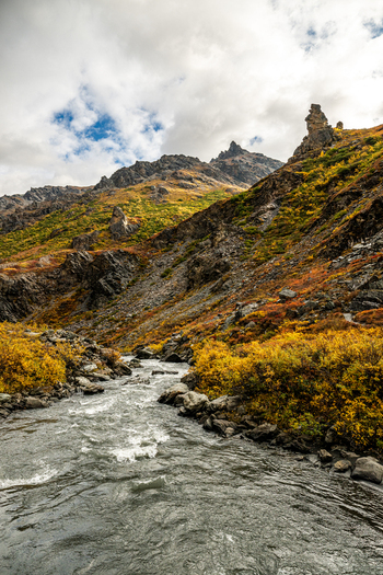 View of a rushing river flowing through Denali National Park and Preserve surrounded by vibrant autumn foliage and rocky mountain slopes under a cloudy sky in Alaska United States. View of a rushing river flowing through Denali National Park and Preserve surrounded by vibrant autumn foliage and rocky mountain slopes under a cloudy sky in Alaska United States.