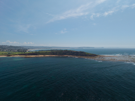 Aerial view of Long Reef Headland surrounded by the deep blue ocean and rocky shoreline under a clear sky in Collaroy New South Wales Australia.