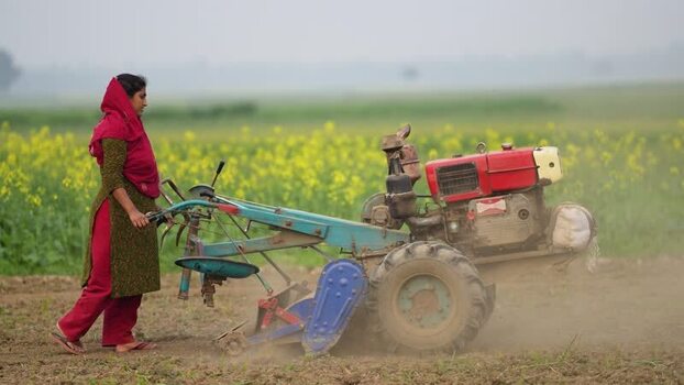 View of a woman operating a power tiller Bangladesh. View of a woman operating a power tiller Bangladesh.