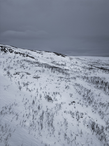 Aerial view of snowy mountain slopes with sparse leafless trees under a dark overcast sky Kvaloya Troms Norway. Aerial view of snowy mountain slopes with sparse leafless trees under a dark overcast sky Kvaloya Troms Norway.