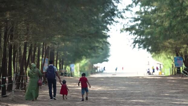 View of a family walking through a pine forest path Bangladesh.