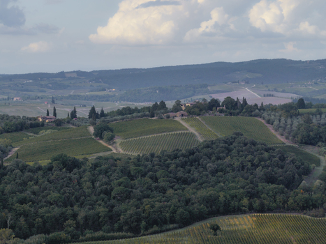 Aerial view of rolling hills covered in vineyards olive groves and dense forests under a cloudy sky in the countryside of Monteriggioni Tuscany Italy.