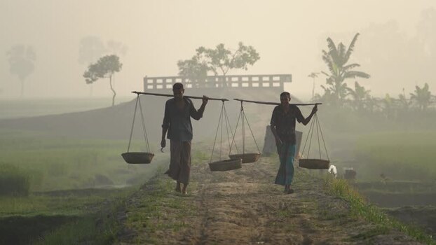 View of farmers carrying baskets on a path in Bogura Bangladesh. View of farmers carrying baskets on a path in Bogura Bangladesh.