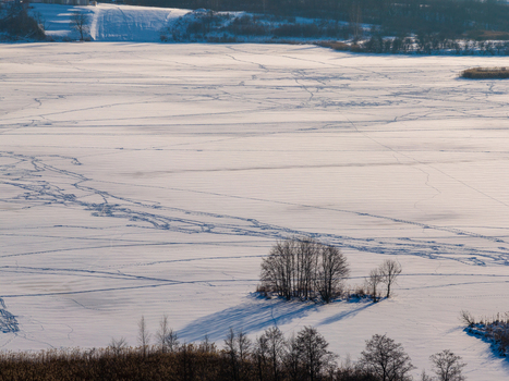 Aerial view of a vast frozen lake covered in thick white snow with numerous crisscrossing tracks leafless trees casting long shadows and a distant snowy shoreline in Lithuania. Aerial view of a vast frozen lake covered in thick white snow with numerous crisscrossing tracks leafless trees casting long shadows and a distant snowy shoreline in Lithuania.