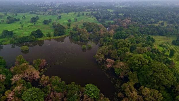 Aerial view of a lake in the lush forests of Sri Lanka.