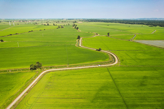 Aerial view of the lush green rice fields surrounding the historic Abbazia di Lucedio in the countryside of Trino Piemonte Italy. Aerial view of the lush green rice fields surrounding the historic Abbazia di Lucedio in the countryside of Trino Piemonte Italy.