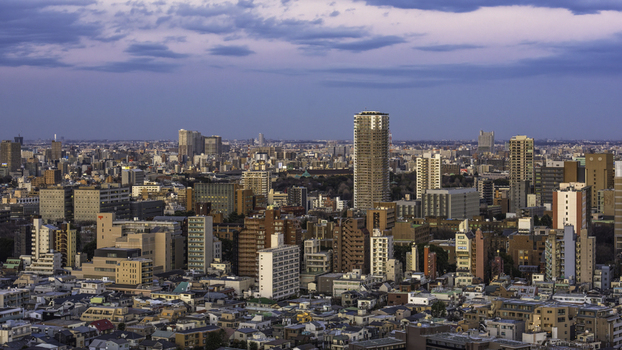 Aerial view of the sprawling cityscape where modern skyscrapers pierce the skyline amidst a dense urban fabric under a serene sky Bunkyo City Tokyo Japan. Aerial view of the sprawling cityscape where modern skyscrapers pierce the skyline amidst a dense urban fabric under a serene sky Bunkyo City Tokyo Japan.