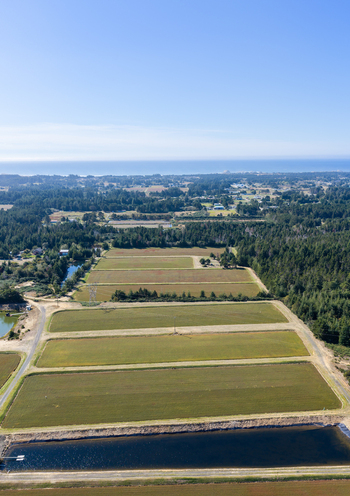 Aerial view of cranberry bogs surrounded by lush green forests and a nearby pond under a clear blue sky in Bandon Oregon United States. Aerial view of cranberry bogs surrounded by lush green forests and a nearby pond under a clear blue sky in Bandon Oregon United States.