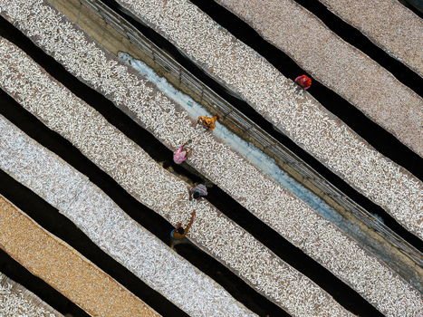 Cox s Bazar Bangladesh 11 March 2026 Aerial view of workers tending to rows of drying fish on bamboo racks in a traditional shutki yard. Cox s Bazar Bangladesh 11 March 2026 Aerial view of workers tending to rows of drying fish on bamboo racks in a traditional shutki yard.