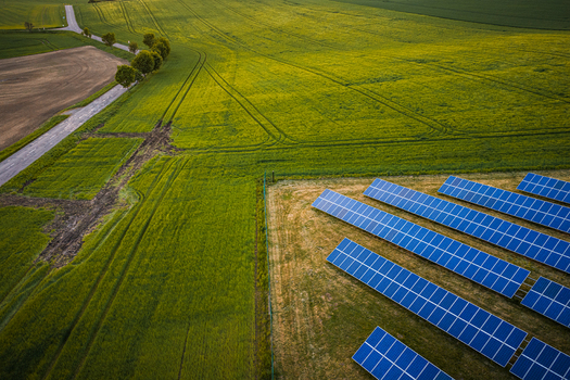 Aerial view of a solar panel farm situated next to lush green agricultural fields and a tree lined road during sunset in Chvalkovice Hradec Kralove Region Czechia.