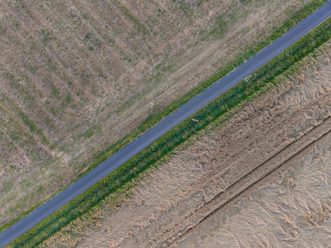 Aerial view of a rural landscape featuring a diagonal asphalt road cutting through harvested fields and green crops in Zemst Flanders Belgium. Aerial view of a rural landscape featuring a diagonal asphalt road cutting through harvested fields and green crops in Zemst Flanders Belgium.