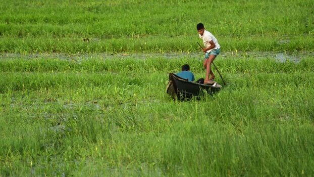 View of two people in a boat in a flooded green field Bangladesh.