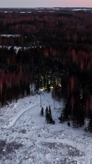 Aerial view of snowy forest landscape in Latvia.