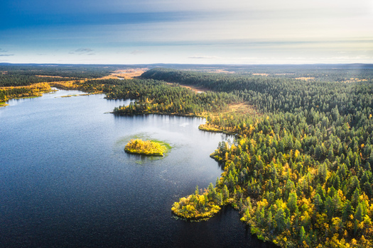Aerial view of a serene lake surrounded by dense coniferous forests with vibrant autumn foliage and a small island in the wilderness. Enontekio Lapland Finland. Aerial view of a serene lake surrounded by dense coniferous forests with vibrant autumn foliage and a small island in the wilderness. Enontekio Lapland Finland.