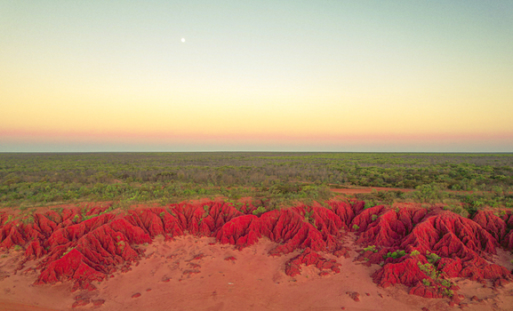 Aerial view of the vibrant red earth and rugged cliffs of the coastline with sparse green vegetation and a soft sunset sky in Broome Western Australia Australia.