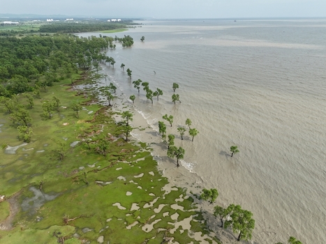 Aerial view of the coastal landscape in Sitakund featuring green vegetation and trees partially submerged in the tidal waters Sitakund Chittagong Division Bangladesh. Aerial view of the coastal landscape in Sitakund featuring green vegetation and trees partially submerged in the tidal waters Sitakund Chittagong Division Bangladesh.