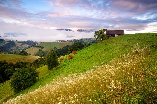 View of a traditional wooden cabin nestled on a lush green hillside with haystacks and wildflowers under a dramatic sunset sky in Brasov Brasov Romania.
