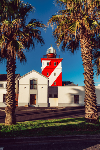 View of the red and white striped Green Point Lighthouse framed by two palm trees under a clear blue sky in Cape Town Western Cape South Africa. View of the red and white striped Green Point Lighthouse framed by two palm trees under a clear blue sky in Cape Town Western Cape South Africa.