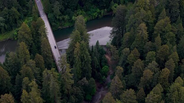 Aerial view of a bridge over a river in a forest United States. Aerial view of a bridge over a river in a forest United States.