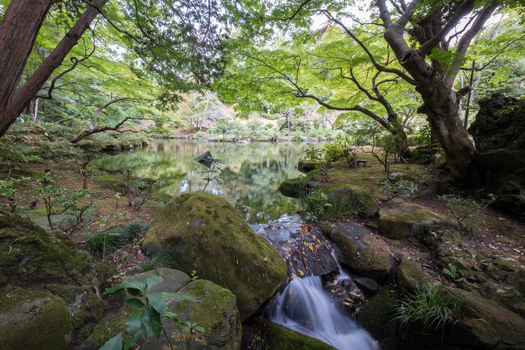 View of serene waters reflecting the lush green canopy moss covered rocks and flowing water create a peaceful scene Narita Chiba Japan. View of serene waters reflecting the lush green canopy moss covered rocks and flowing water create a peaceful scene Narita Chiba Japan.