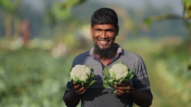 View of a smiling farmer holding cauliflowers in Bogura Bangladesh. View of a smiling farmer holding cauliflowers in Bogura Bangladesh.