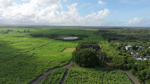 Aerial view of sugarcane fields and historic ruins Mauritius.