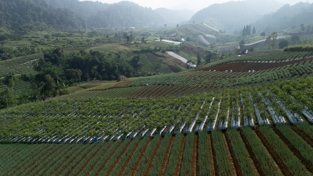Aerial view of terraced agricultural fields and lush green plantations on rolling hillsides under a misty sky Sukabumi West Java Indonesia. Aerial view of terraced agricultural fields and lush green plantations on rolling hillsides under a misty sky Sukabumi West Java Indonesia.