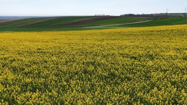 Aerial view of yellow field and green fields France.
