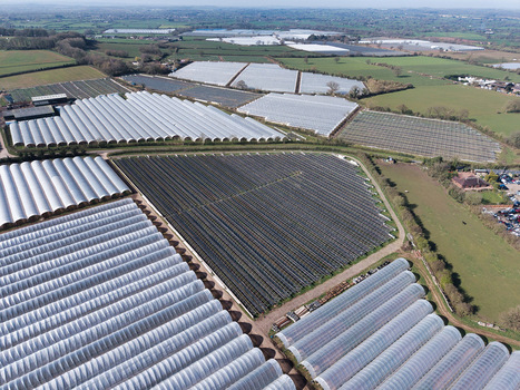 Aerial view of expansive greenhouses stretching across the landscape creating a geometric pattern of light and shadow Stafford England United Kingdom. Aerial view of expansive greenhouses stretching across the landscape creating a geometric pattern of light and shadow Stafford England United Kingdom.