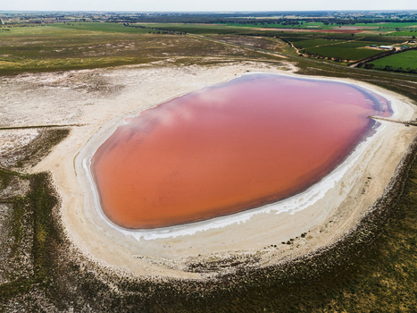 Aerial view of a vibrant pink salt lake surrounded by white salt crusts and arid Mallee landscape in Woorinen North Victoria Australia. Aerial view of a vibrant pink salt lake surrounded by white salt crusts and arid Mallee landscape in Woorinen North Victoria Australia.
