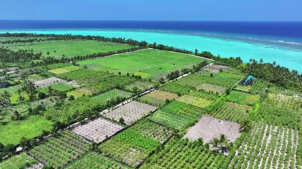 Aerial view of agricultural fields and turquoise ocean Maldives. Aerial view of agricultural fields and turquoise ocean Maldives.