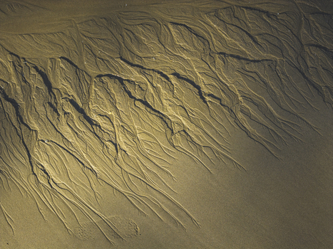 Aerial view of intricate dendritic water runoff patterns etched into the golden sand of a beach in Galicia Spain.