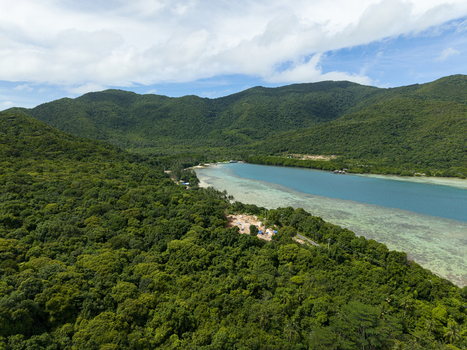 Aerial view of lush green forests meet the turquoise sea near Bobby Beach a serene coastal landscape Karimunjawa Central Java Indonesia.