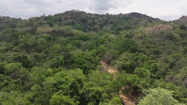 Aerial view of Nine Arches Bridge area in Ambagollapathana Sri Lanka.
