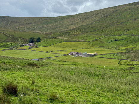 View of the rolling green hills and traditional stone walled pastures of the Yorkshire Dales with farm buildings under a cloudy sky in Hawes England United Kingdom. View of the rolling green hills and traditional stone walled pastures of the Yorkshire Dales with farm buildings under a cloudy sky in Hawes England United Kingdom.