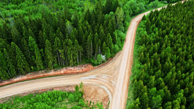 Aerial view of a dirt road junction winding through a dense coniferous forest in Latvia. Aerial view of a dirt road junction winding through a dense coniferous forest in Latvia.