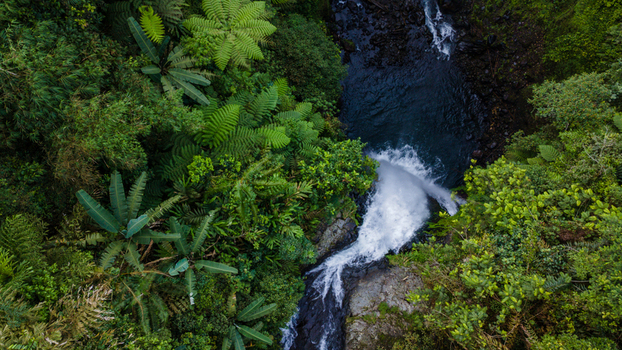 Aerial view of Gomblang Waterfall cascading into a dark pool surrounded by dense tropical jungle and lush ferns in Kecamatan Kedungbanteng Jawa Tengah Indonesia. Aerial view of Gomblang Waterfall cascading into a dark pool surrounded by dense tropical jungle and lush ferns in Kecamatan Kedungbanteng Jawa Tengah Indonesia.