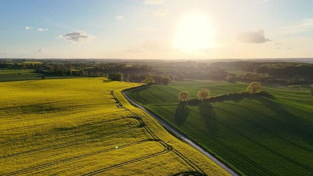 Aerial view of yellow rapeseed fields and green meadows Germany.
