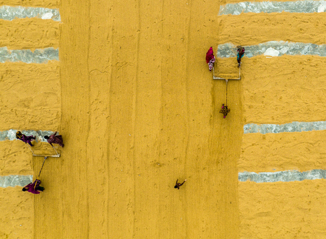 Ashuganj Chittagong Division Bangladesh 05 July 2022 Aerial view of workers in colorful clothing raking and spreading golden rice grains on a large flat surface.