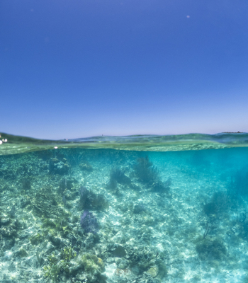 View of a split shot showing a vibrant coral reef under turquoise water and a clear blue sky Guanaja Bay Islands Department Honduras. View of a split shot showing a vibrant coral reef under turquoise water and a clear blue sky Guanaja Bay Islands Department Honduras.