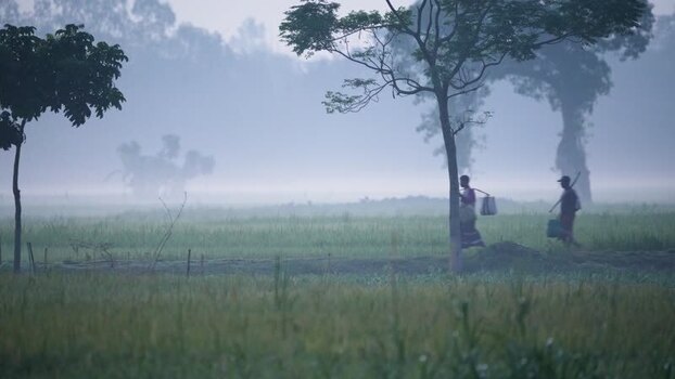 View of people walking through misty fields in Bogura Bangladesh. View of people walking through misty fields in Bogura Bangladesh.