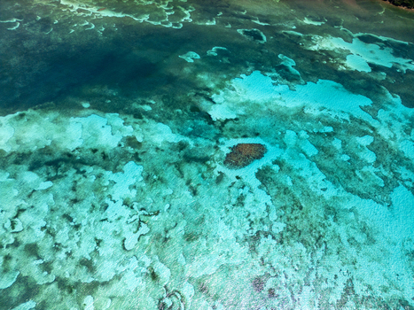 Aerial view of the vibrant coral reefs and crystal clear turquoise waters surrounding the island of Guanaja Bay Islands Department Honduras. Aerial view of the vibrant coral reefs and crystal clear turquoise waters surrounding the island of Guanaja Bay Islands Department Honduras.