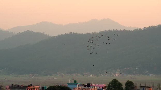View of a flock of birds flying over a misty valley Nepal.