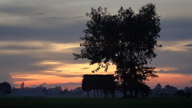 View of a silhouetted hut and tree at sunset in Bogura Bangladesh.