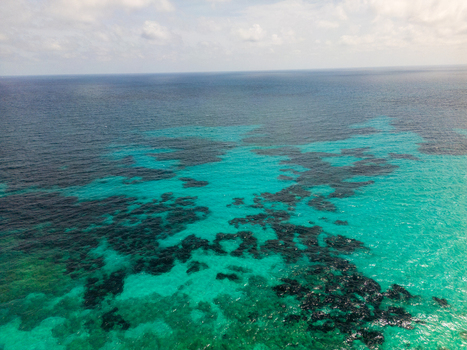 Aerial view of the turquoise Mediterranean waters and rocky seabed along the coast of Sa Coma Balearic Islands Spain. Aerial view of the turquoise Mediterranean waters and rocky seabed along the coast of Sa Coma Balearic Islands Spain.