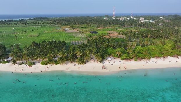 Aerial view of the tropical beach and lush palm trees of Thoddoo Maldives. Aerial view of the tropical beach and lush palm trees of Thoddoo Maldives.