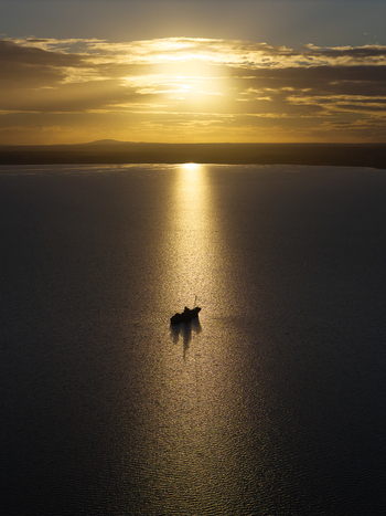 Aerial view of a boat silhouetted on the water at sunset near Camp Quaranup in Vancouver Peninsula Western Australia Australia. Aerial view of a boat silhouetted on the water at sunset near Camp Quaranup in Vancouver Peninsula Western Australia Australia.