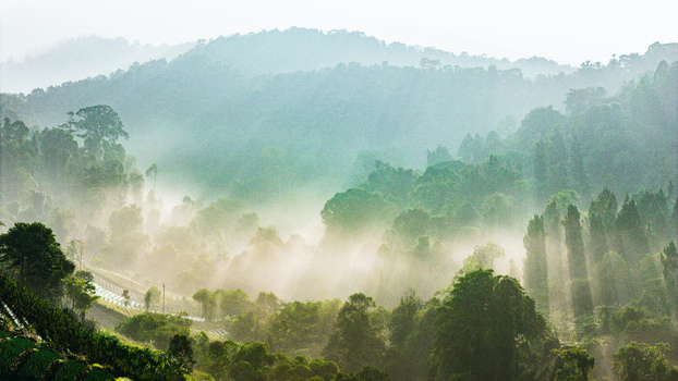 Aerial view of sunbeams filtering through thick morning mist over a lush tropical forest and rolling hills in Sukabumi West Java Indonesia. Aerial view of sunbeams filtering through thick morning mist over a lush tropical forest and rolling hills in Sukabumi West Java Indonesia.