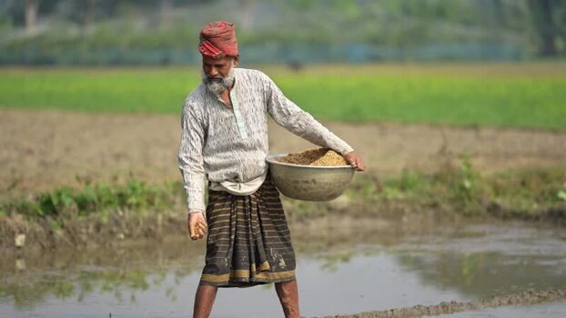 View of a farmer sowing seeds in a muddy field Bangladesh. View of a farmer sowing seeds in a muddy field Bangladesh.