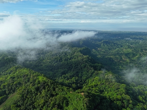 Aerial view of lush green hills covered in dense forest and low hanging clouds under a bright sky in Sitakund Chittagong Division Bangladesh. Aerial view of lush green hills covered in dense forest and low hanging clouds under a bright sky in Sitakund Chittagong Division Bangladesh.